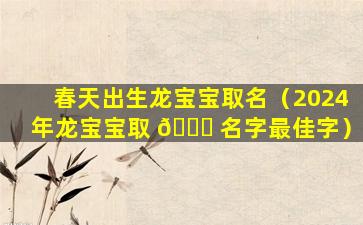 春天出生龙宝宝取名（2024年龙宝宝取 🐘 名字最佳字）